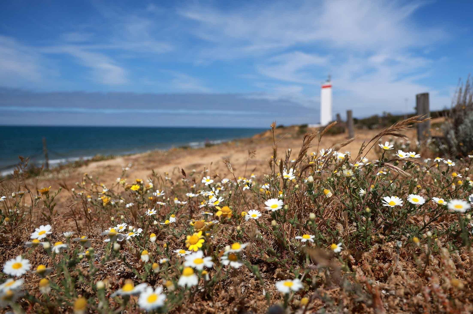 Imágenes del domingo 5 de mayo en Huelva