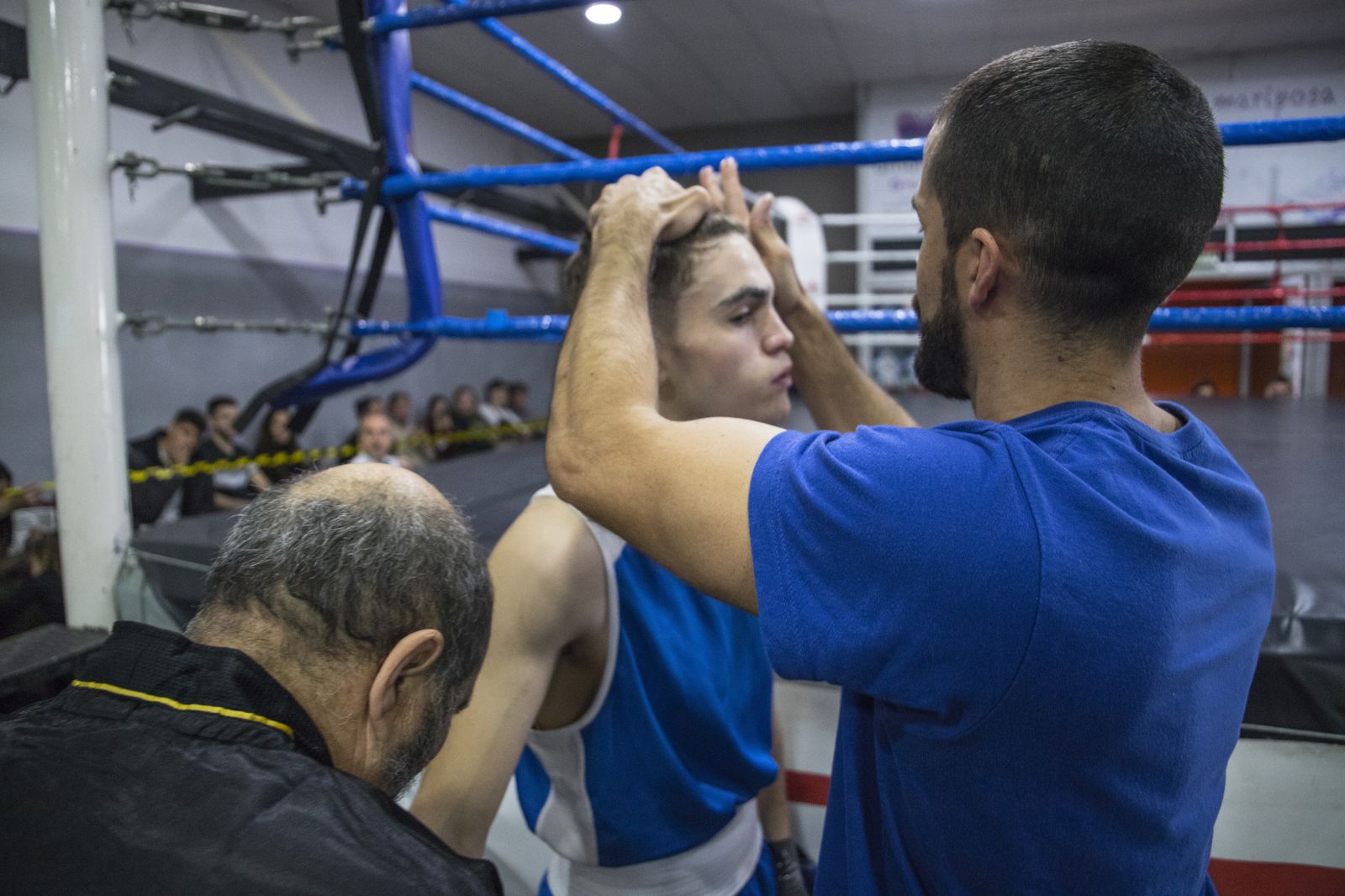 La cantera del boxeo granadino se luce en Armilla