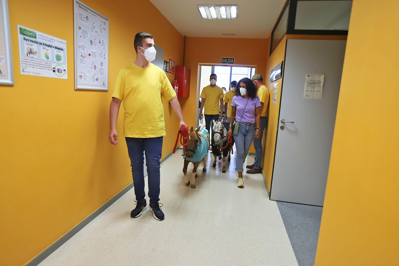 Los niños hospitalizados en el Juan Ramón Jiménez reciben la inesperada visita de unos caballos