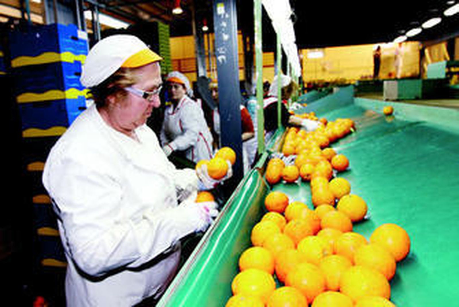 Uno de los proyectos es de la empresa Cítricos Andarax.