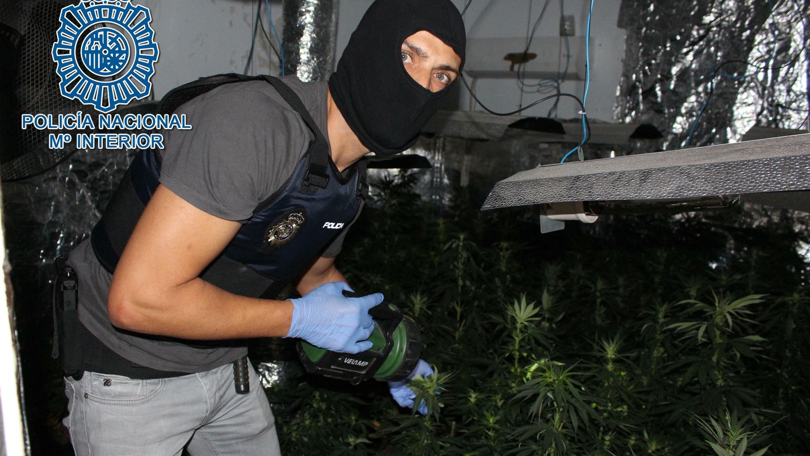 Un policía nacional, durante una intervención de marihuana en un piso de las Tres Mil.