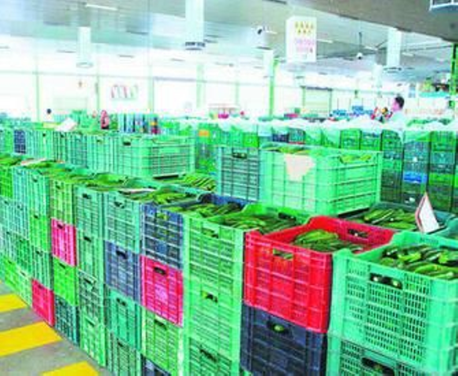 Subasta de Cehorpa, que ha sido adquirida por Costa de Almería tras meses de negociación.