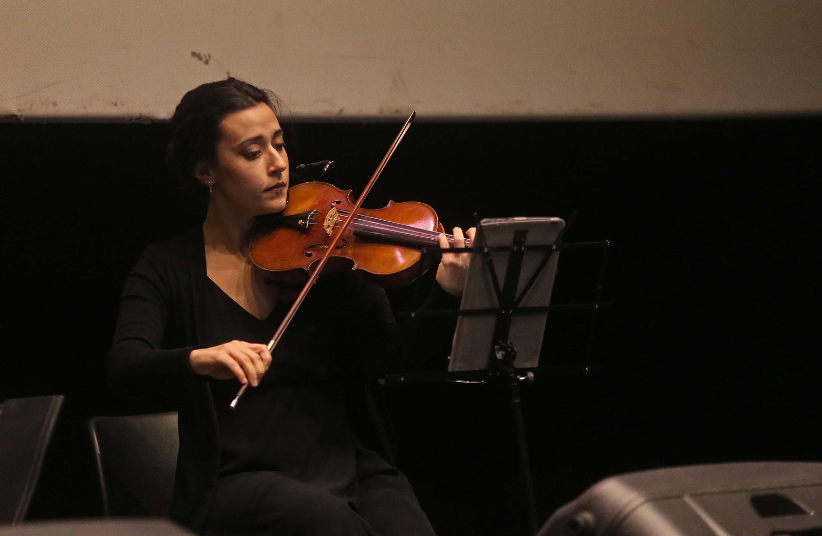 Fotos del espectáculo  'Esencia de Pasión' en La Línea