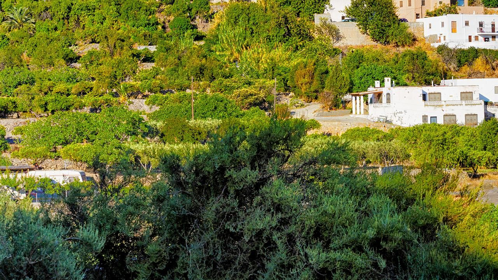 La matinal de este domingo conocerá  también una nueva sesión de yoga junto al mar y de patinaje