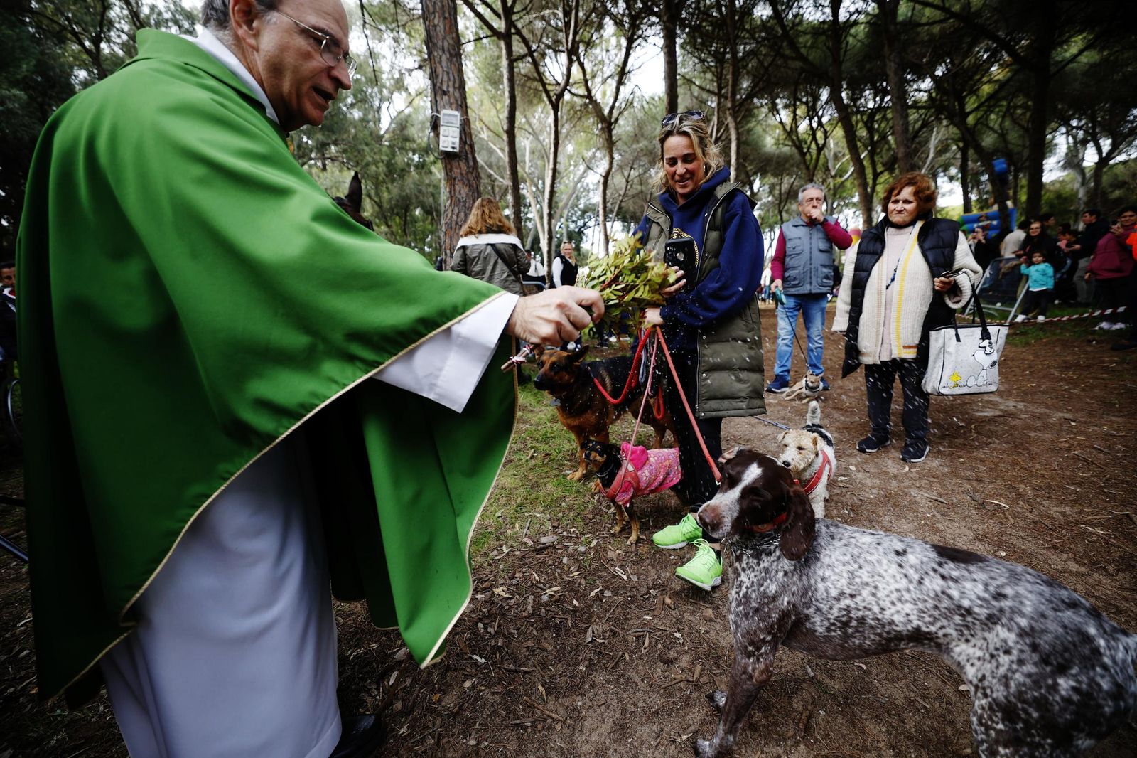 Las imágenes de la festividad de San Antón en El Puerto