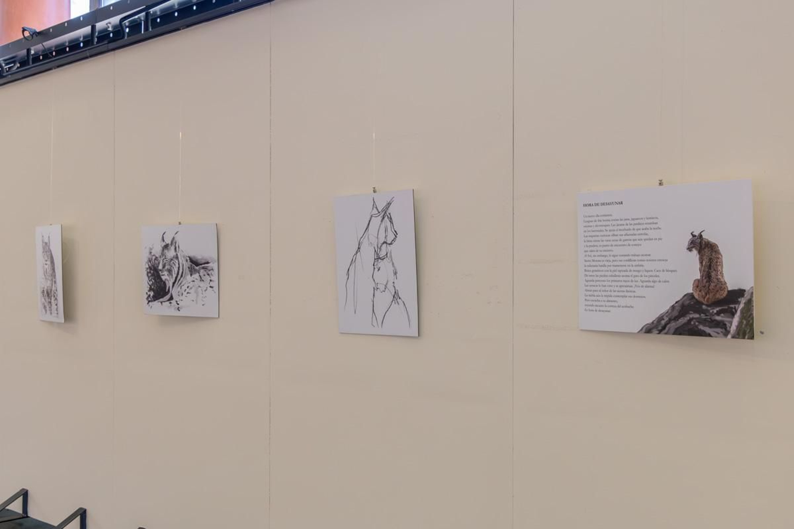 Exposición Los pinceles del lince ibérico, en imágenes