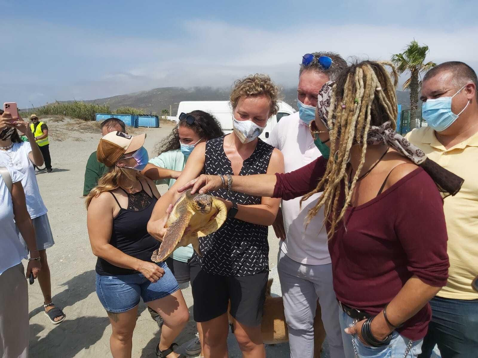 Suelta de la tortuga boba en la playa de Torrenueva