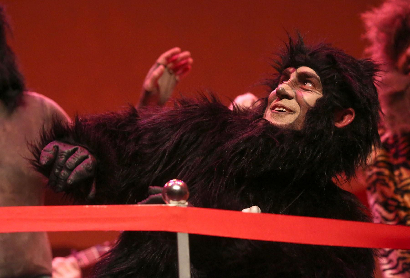 Cuarto día de preliminares del Carnaval Colombino en imágenes