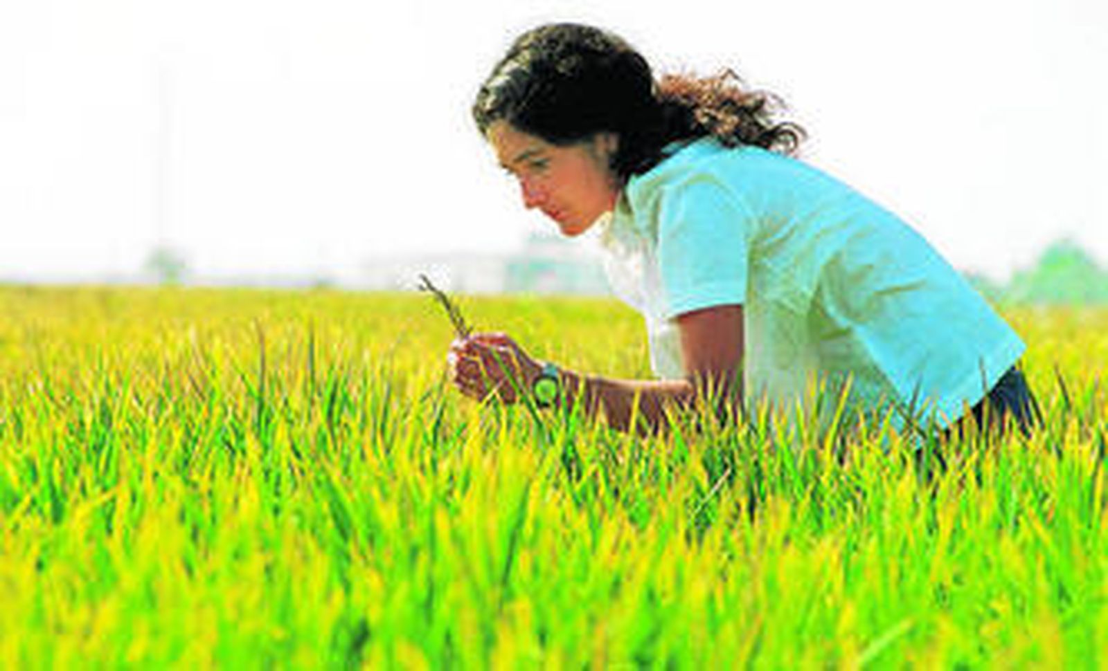 Una campaña complicada bajo la amenaza de las importaciones