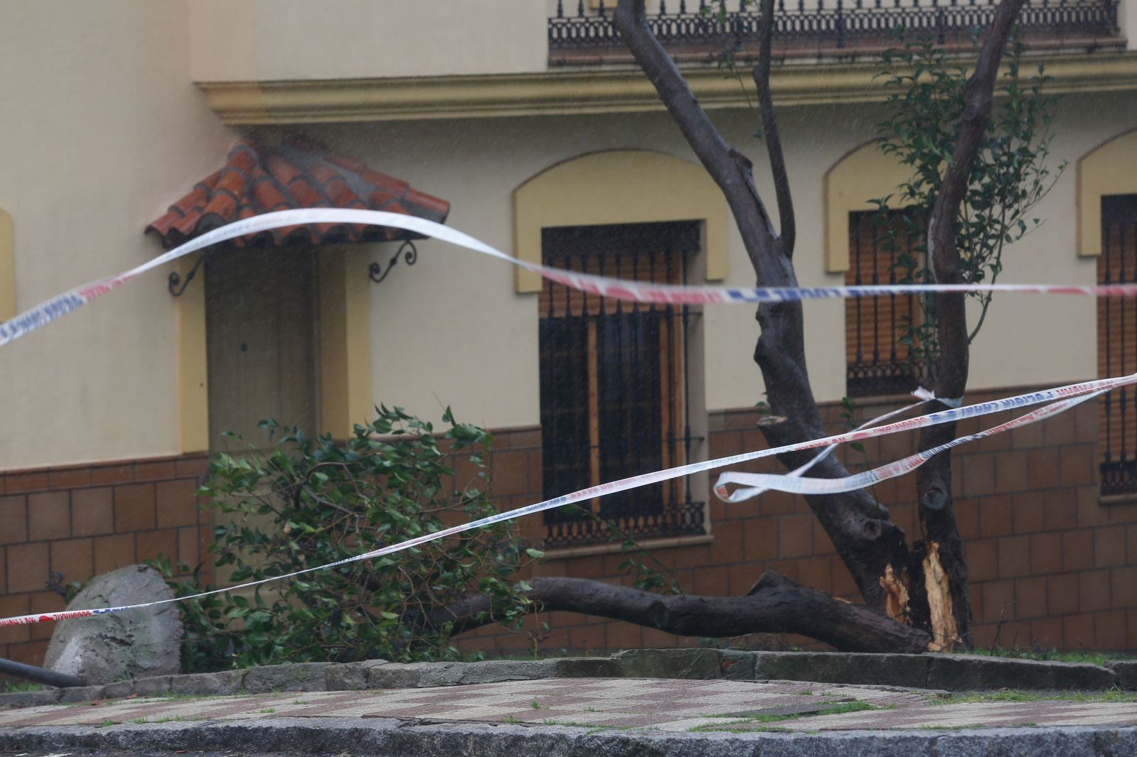 Fotos del temporal de lluvia y viento por la borrasca Kristin en el Campo de Gibraltar