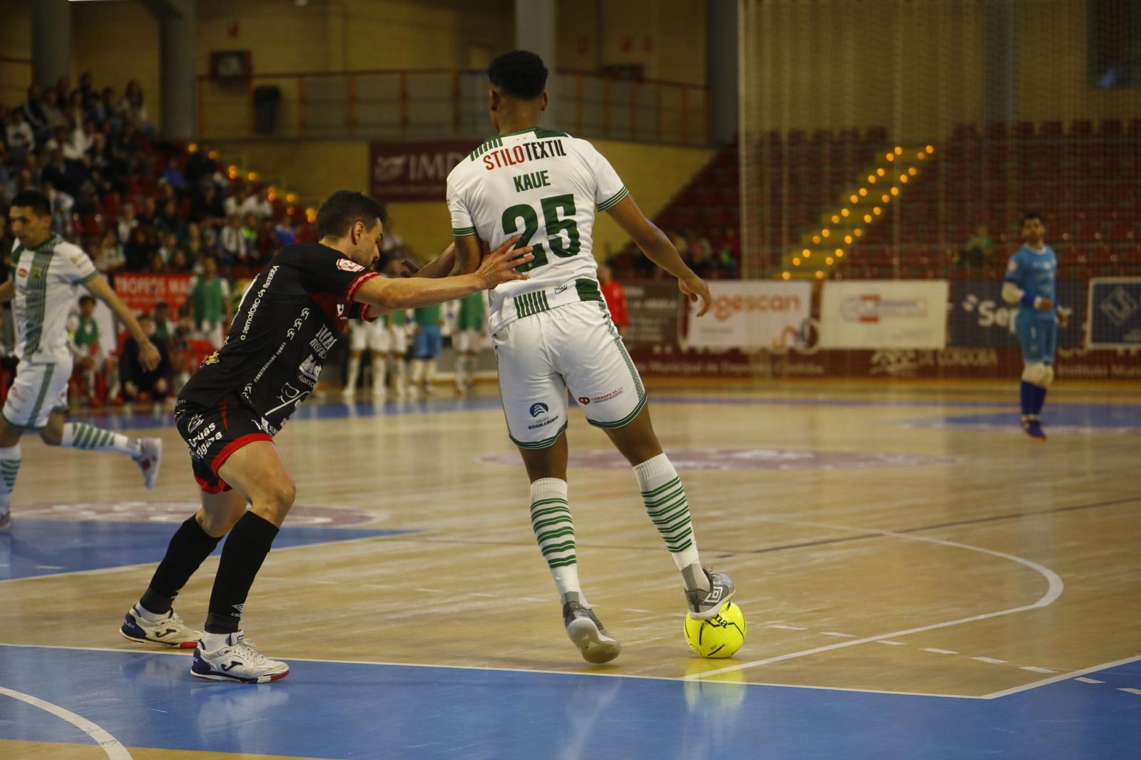 Las mejores fotos del ambiente en Vista Alegre para el Córdoba Futsal - Noia