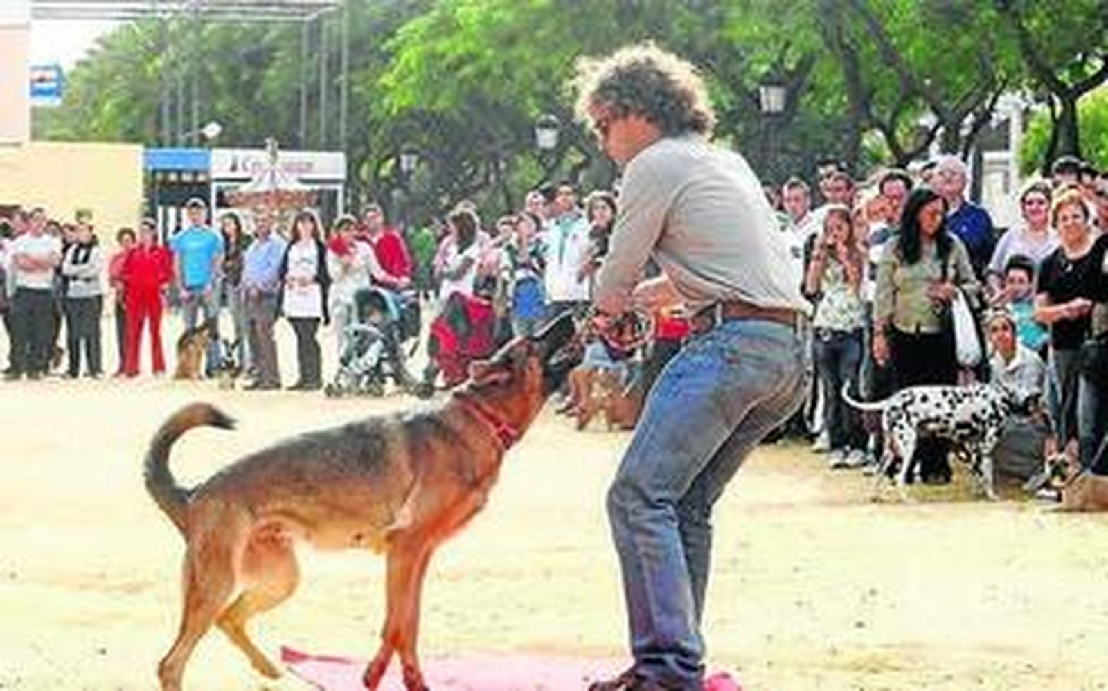 Un nuevo miembro en la familia