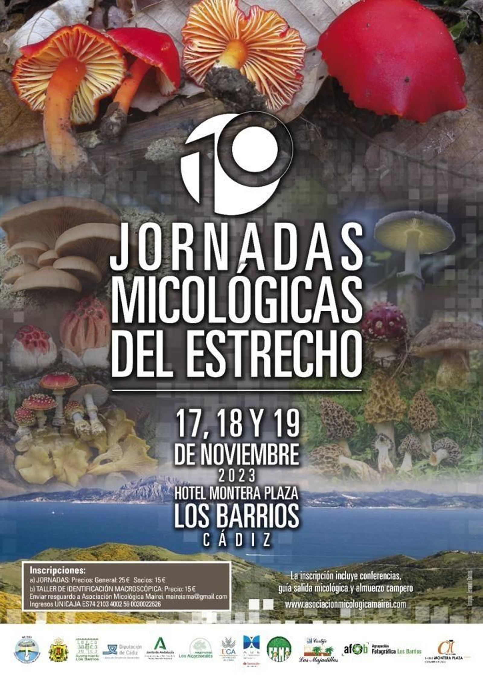 Cartel X Jornadas Micológicas.