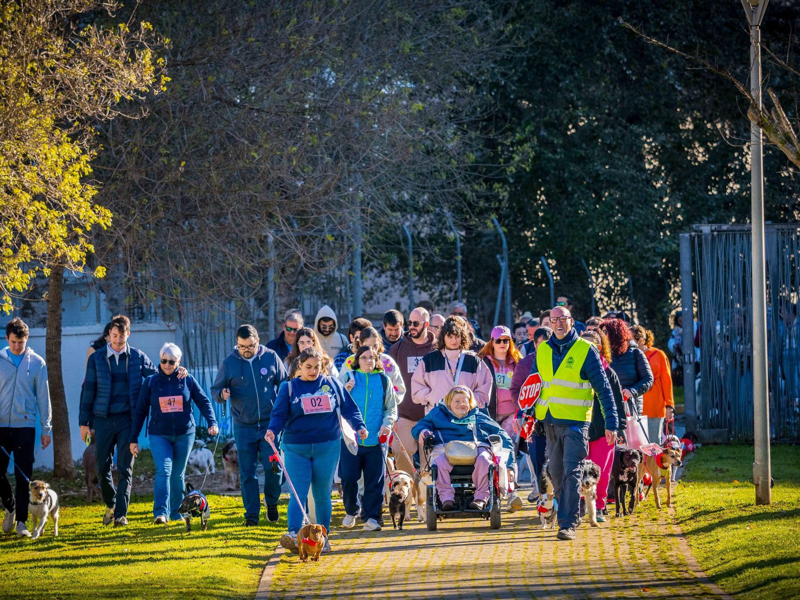 Las imágenes de San Antón 2025 en San Fernando