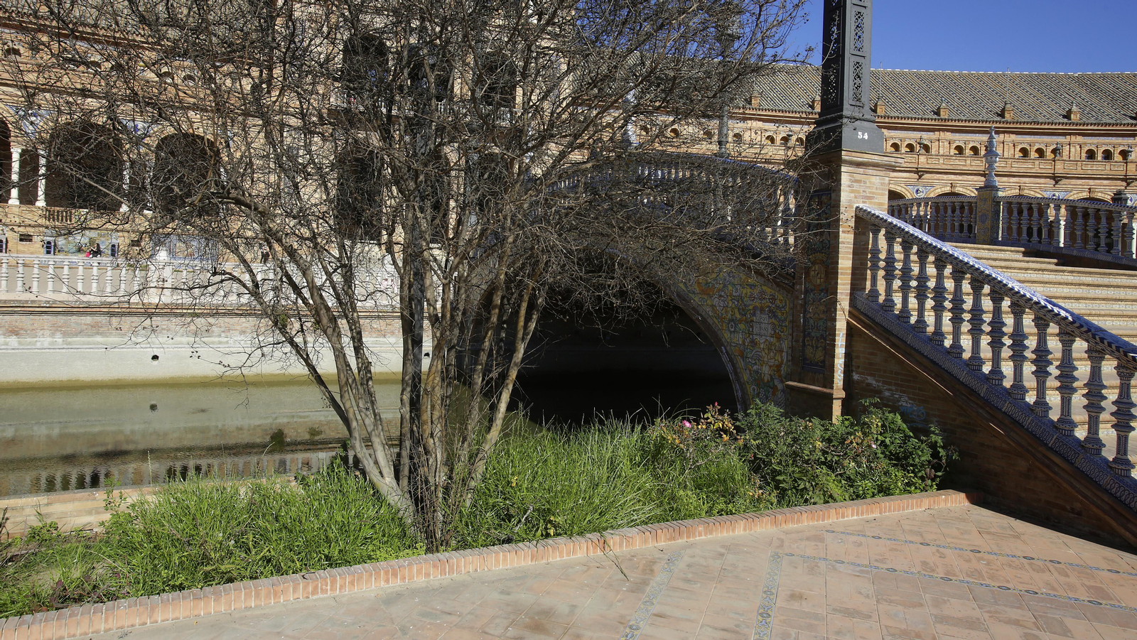Mal estado de los arriates y plantas en la Plaza de España