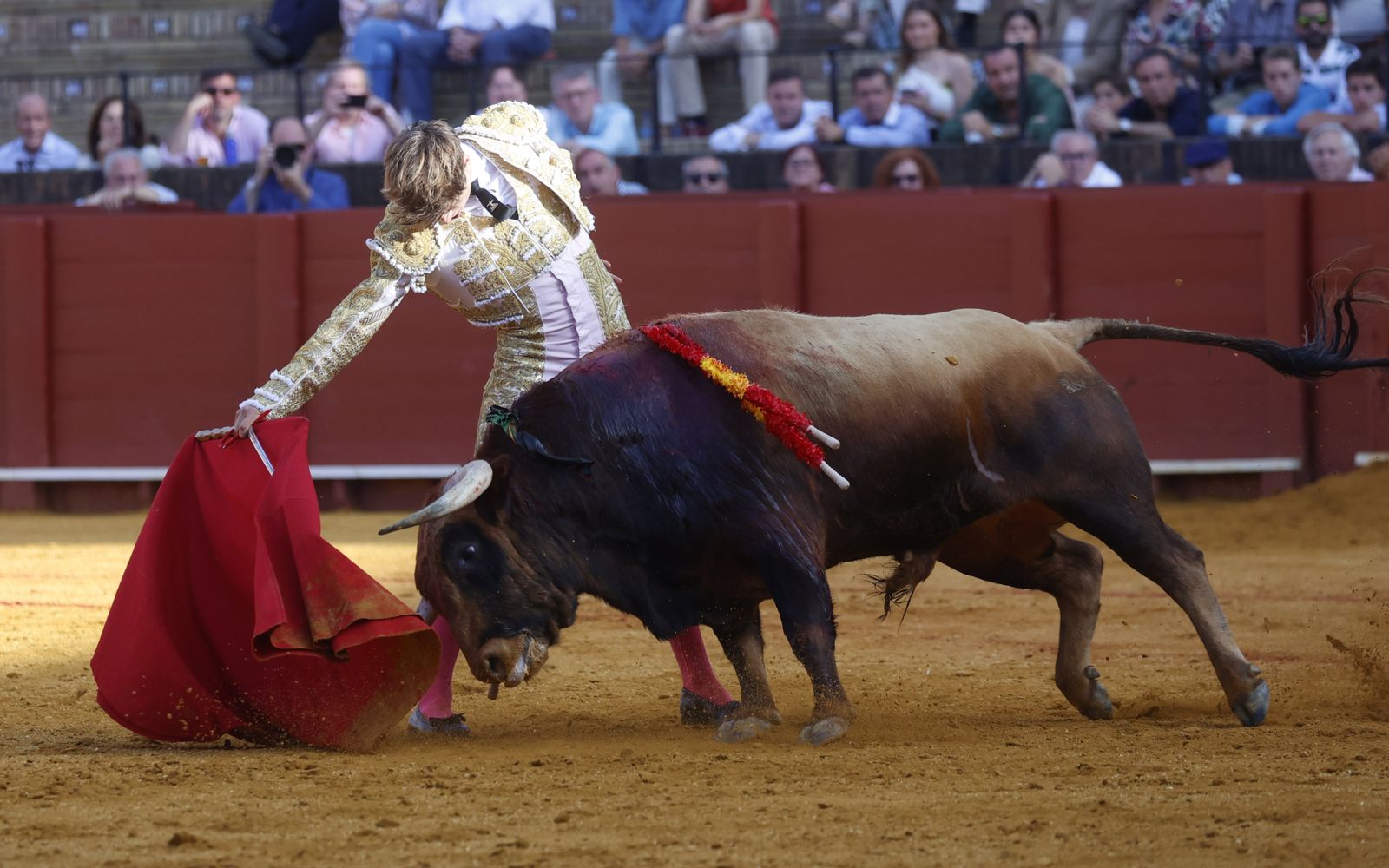 Las imágenes de la novillada en la Maestranza