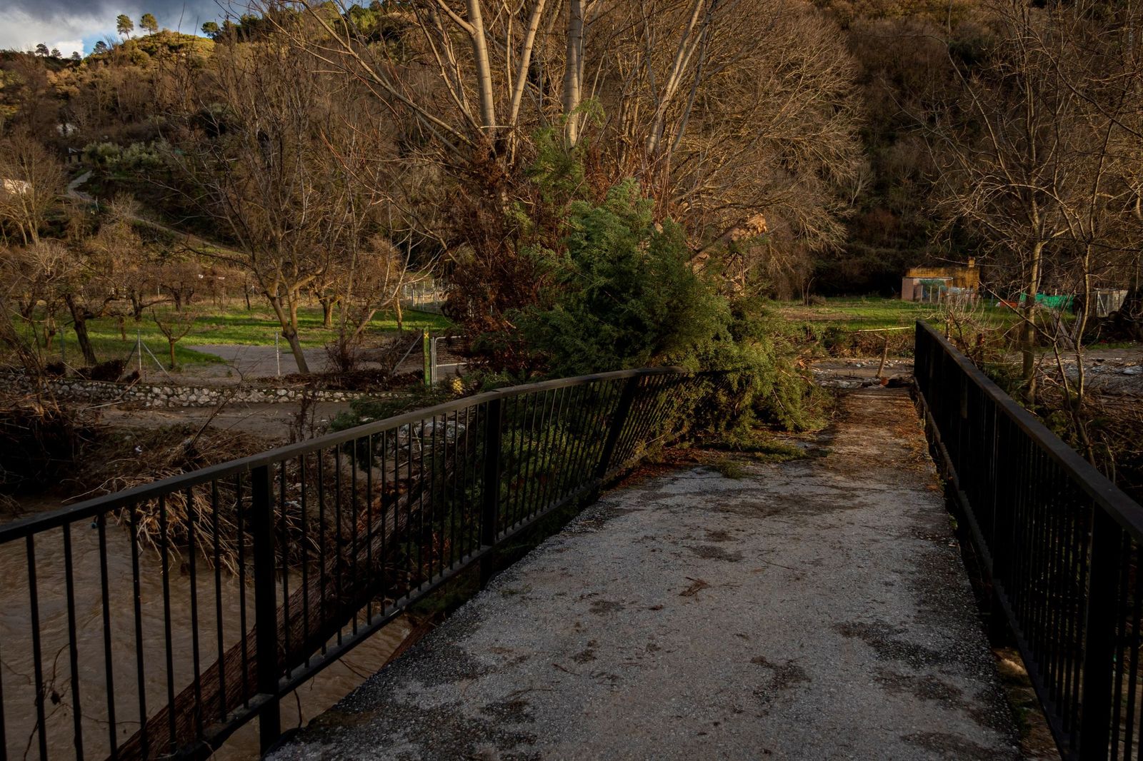 Fotos: así se han encontrado los vecinos de Dúdar su pueblo tras regresar del desalojo