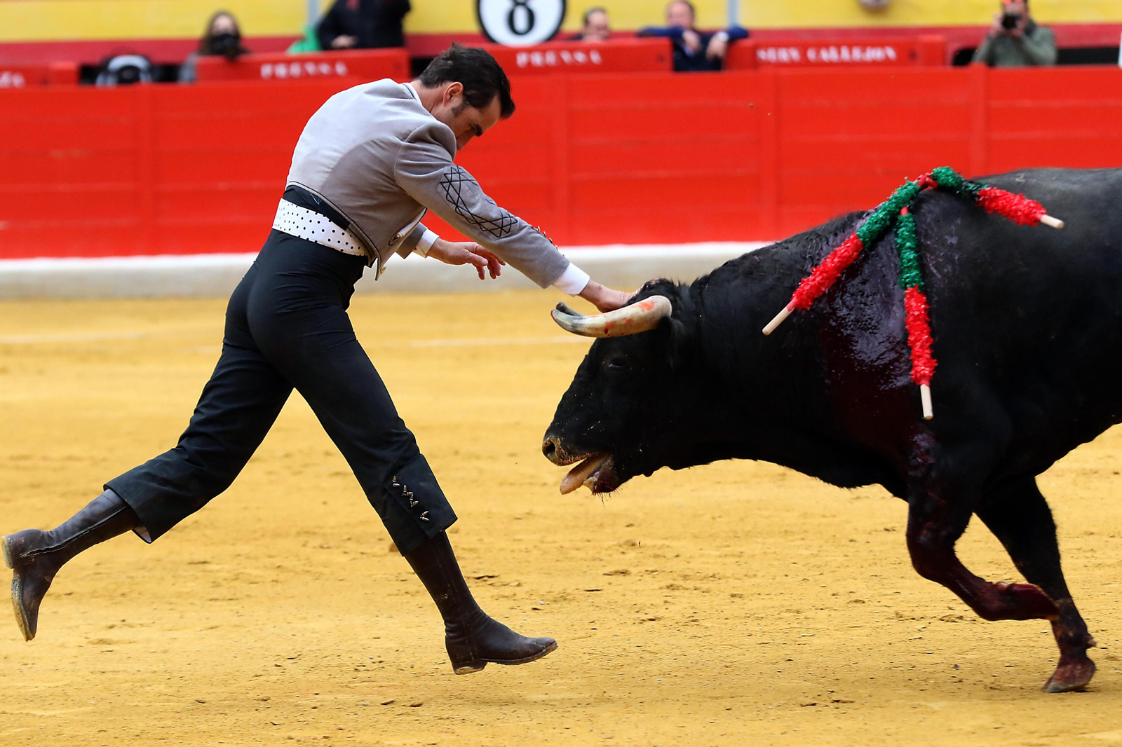 El Festival Taurino Granadown, en imágenes