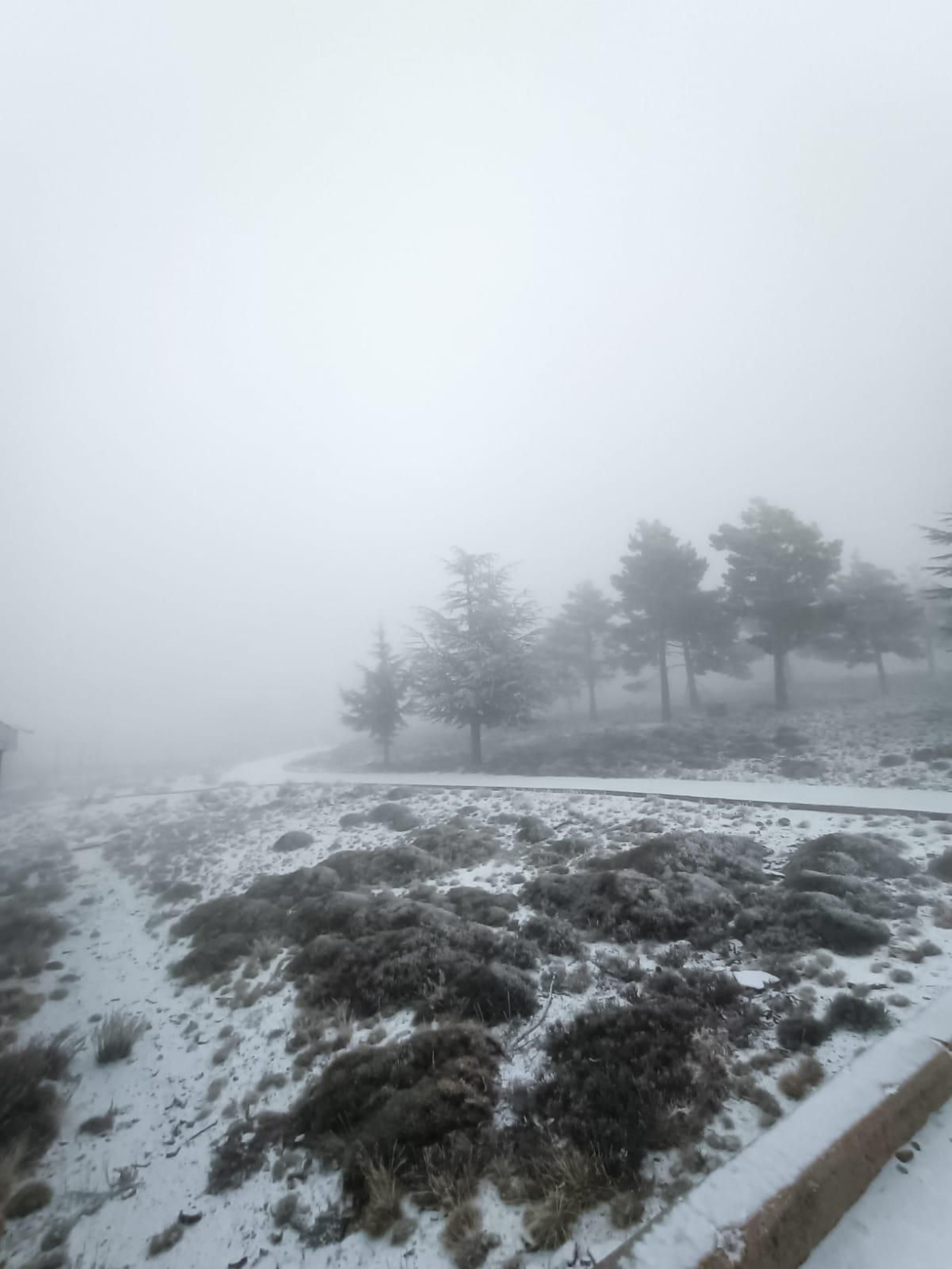 La nieve ya ha llegado a la Sierra de los Filabres en Calar Alto. La nieve ya ha llegado a la Sierra de los Filabres en Calar Alto.
