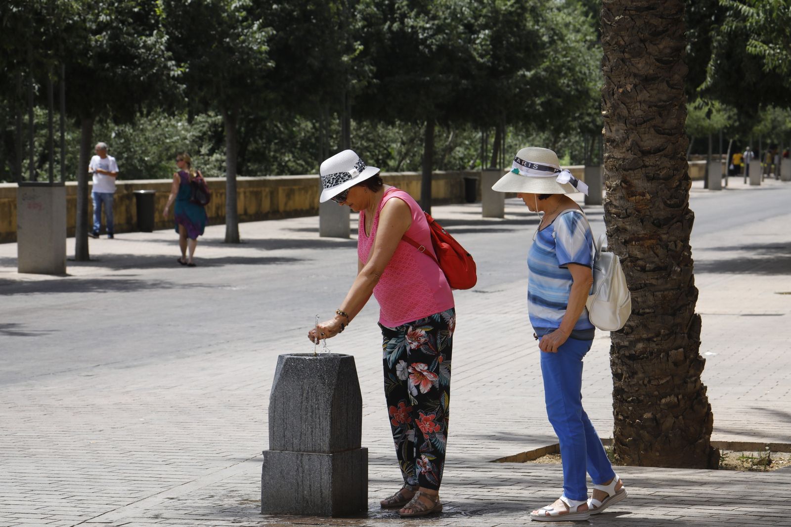 Imágenes de la ola de calor en Córdoba: sombreros, paraguas y fuentes para sobrevivir al aviso naranja