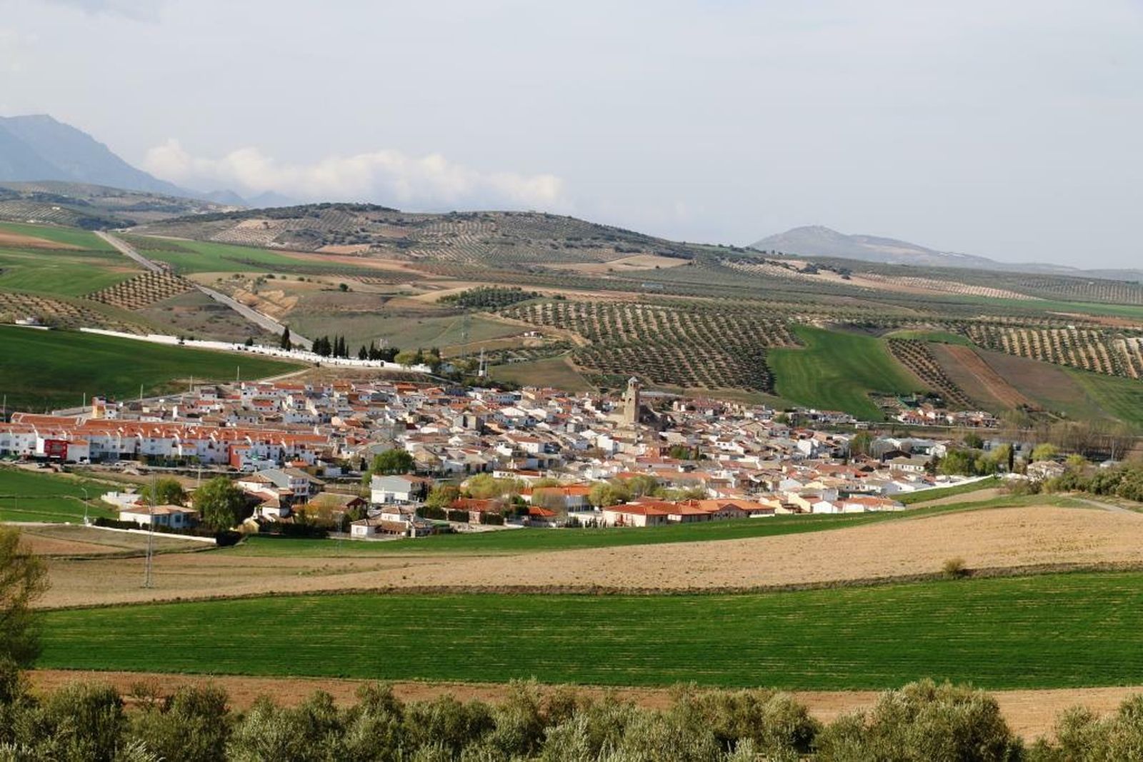 Panorámica de la localidad de Guadahortuna.