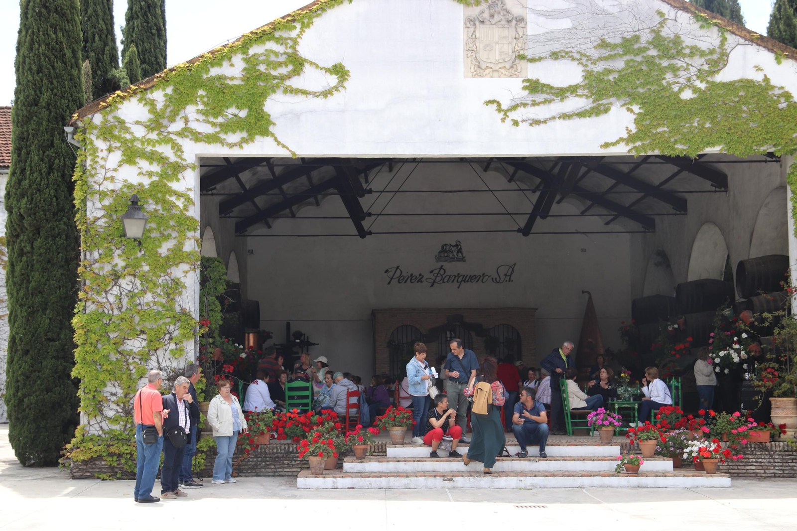 El Festival Patios de Bodega de Montilla, en imágenes