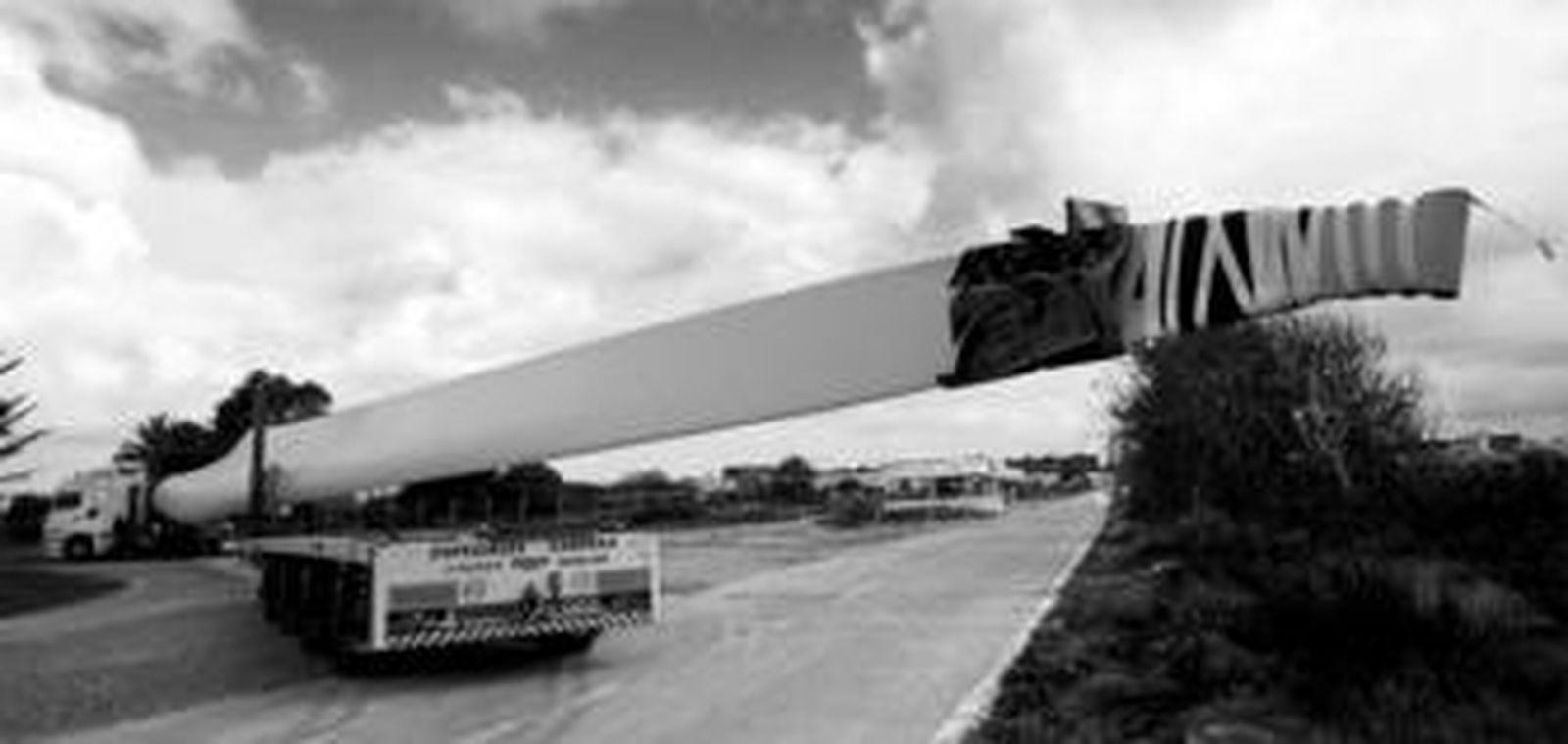 El pleno de Vejer no aclara cuántos parques eólicos se instalarán en el municipio