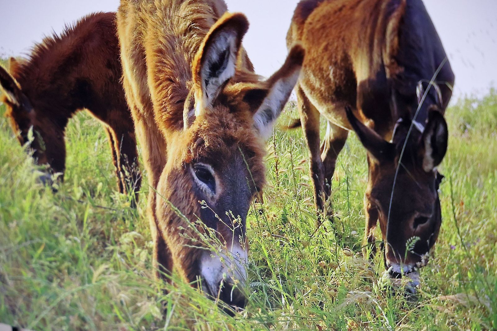Exposición del I Rally Fotográfico de La Canastita
