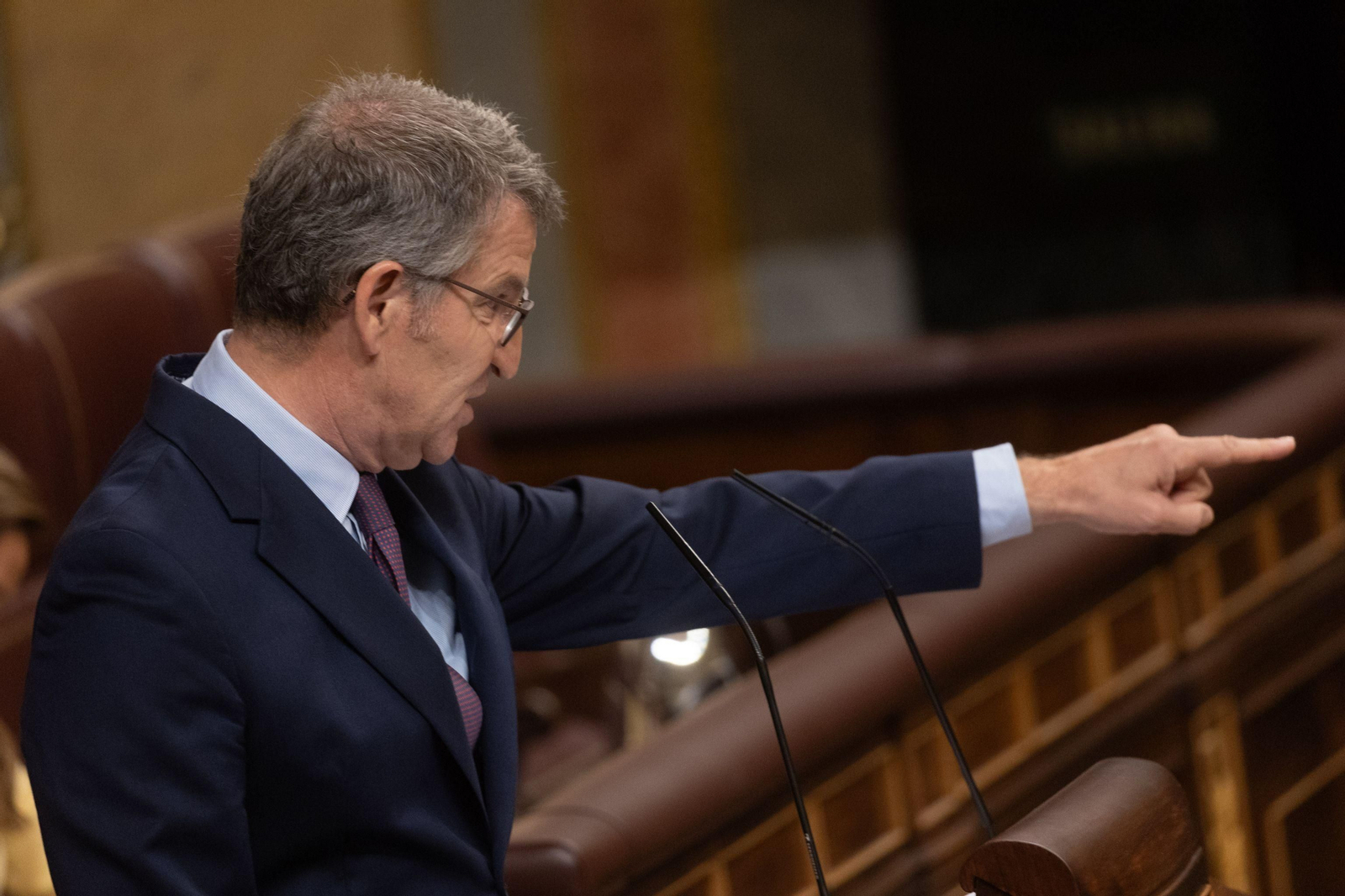 Alberto Núñez Feijóo, en el Congreso.