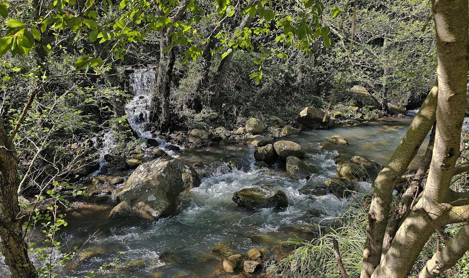 Fotos del río de la Miel tras las borrascas de marzo