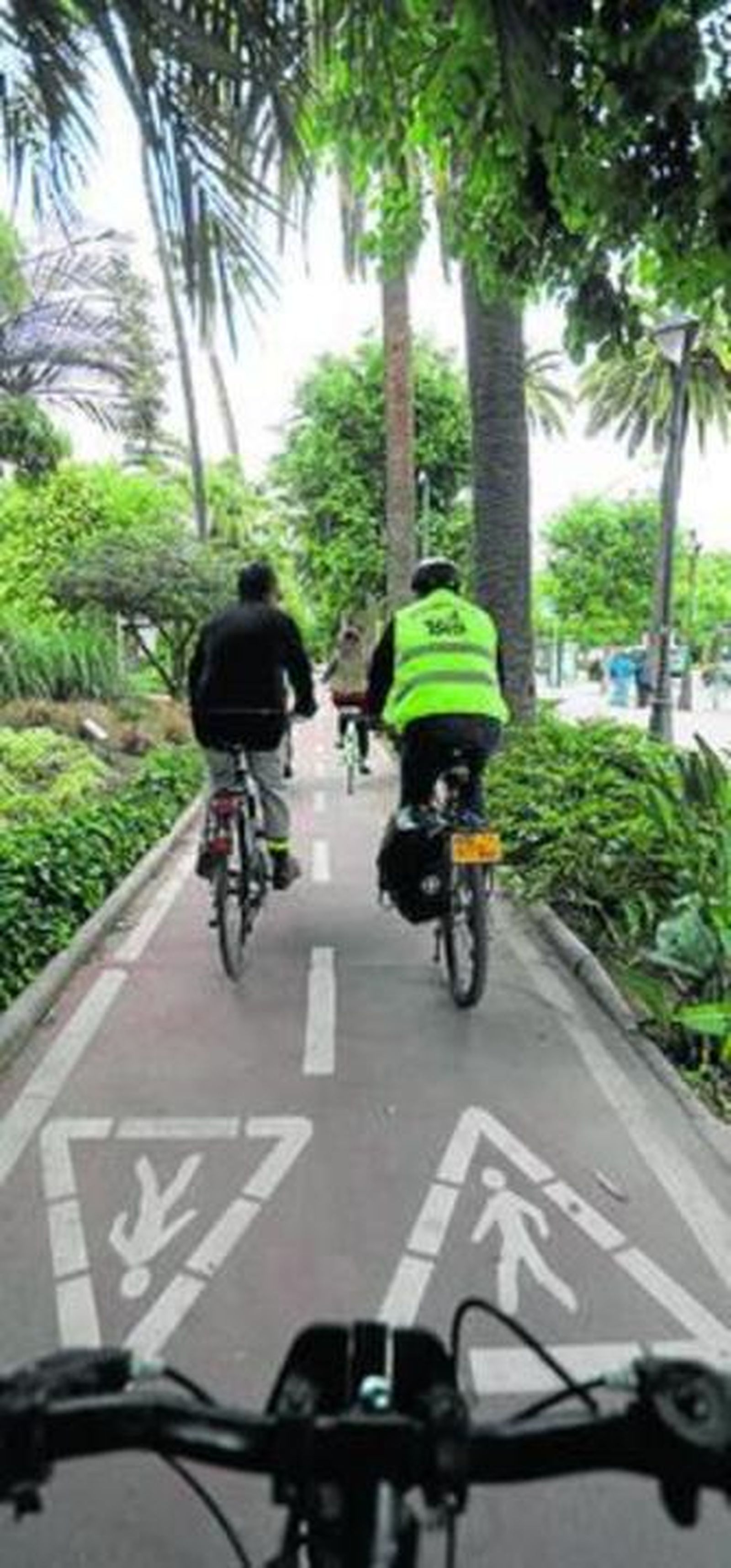 Carril bici situado en el parque de Málaga.