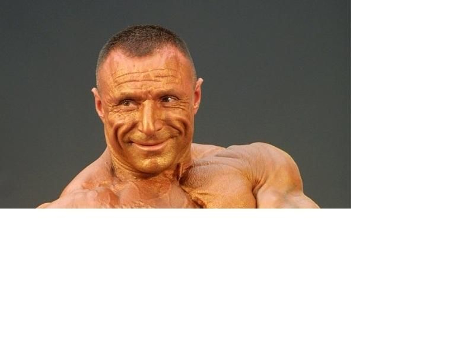 Mula, en una competición.