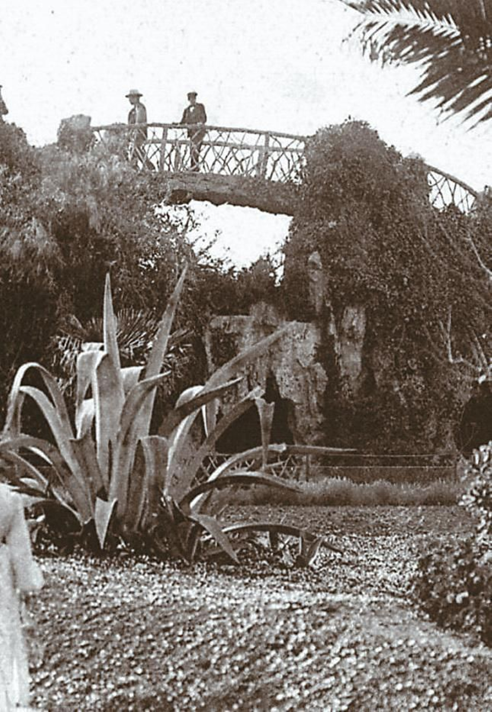 cascada del parque Genovés