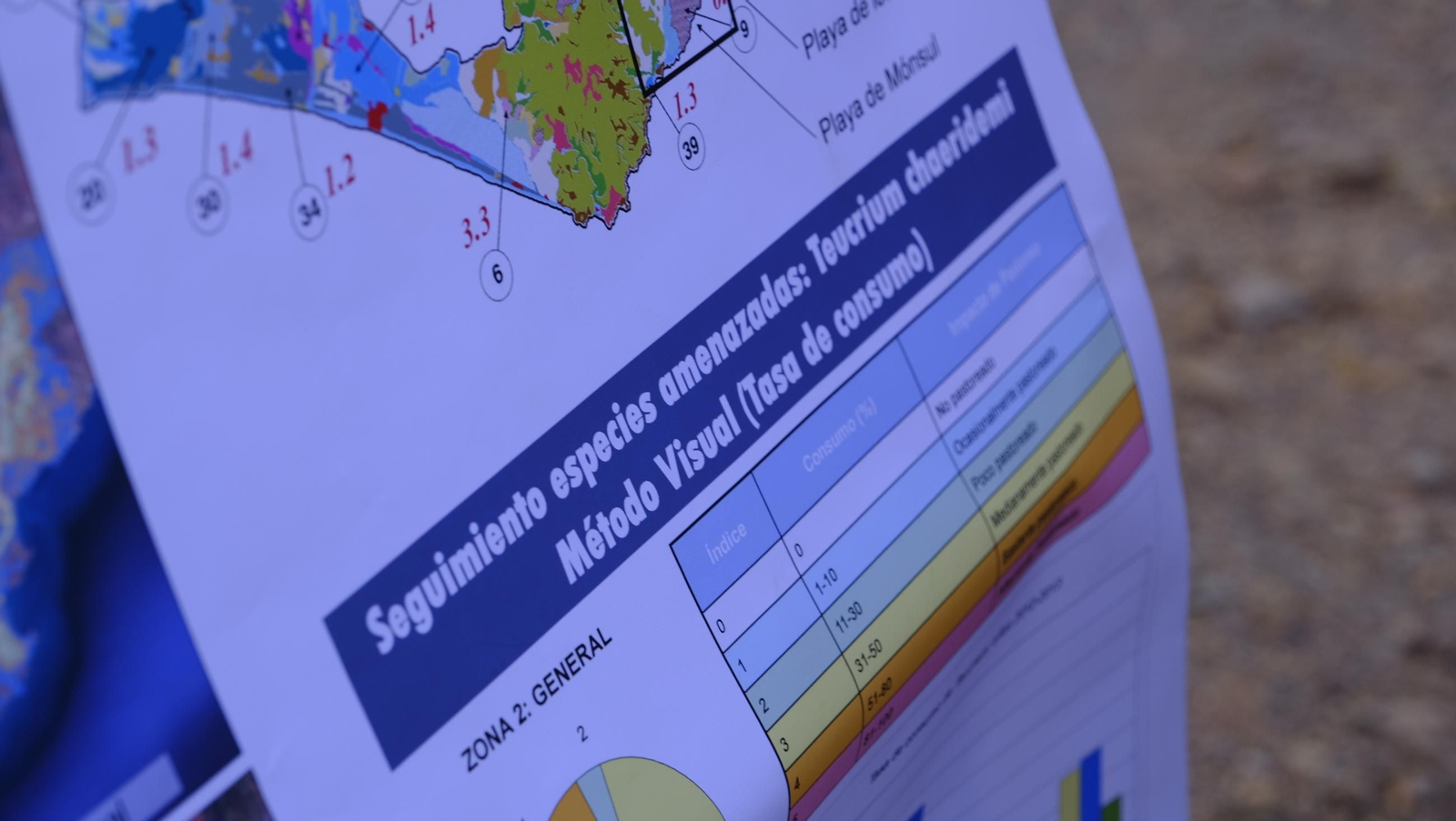 Recorrido por el cortijo El Romeral con 1200 cabras celtibéricas, en imágenes
