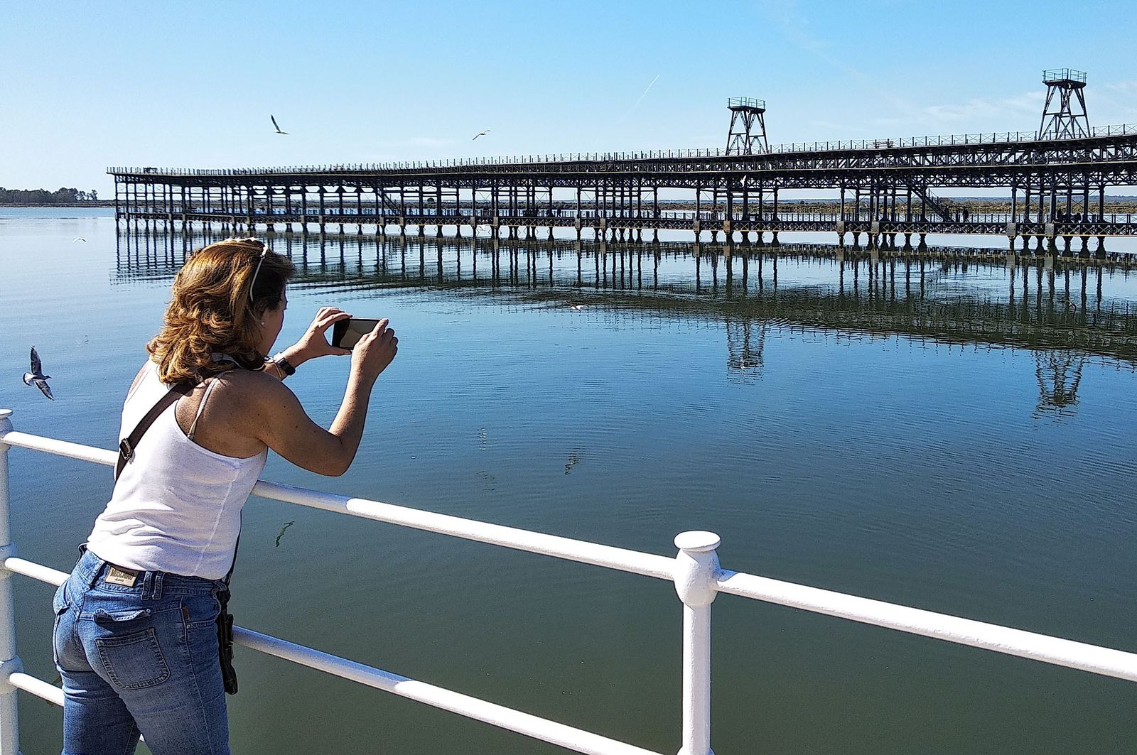 Ambiente primaveral en el día de Andalucía, en imágenes
