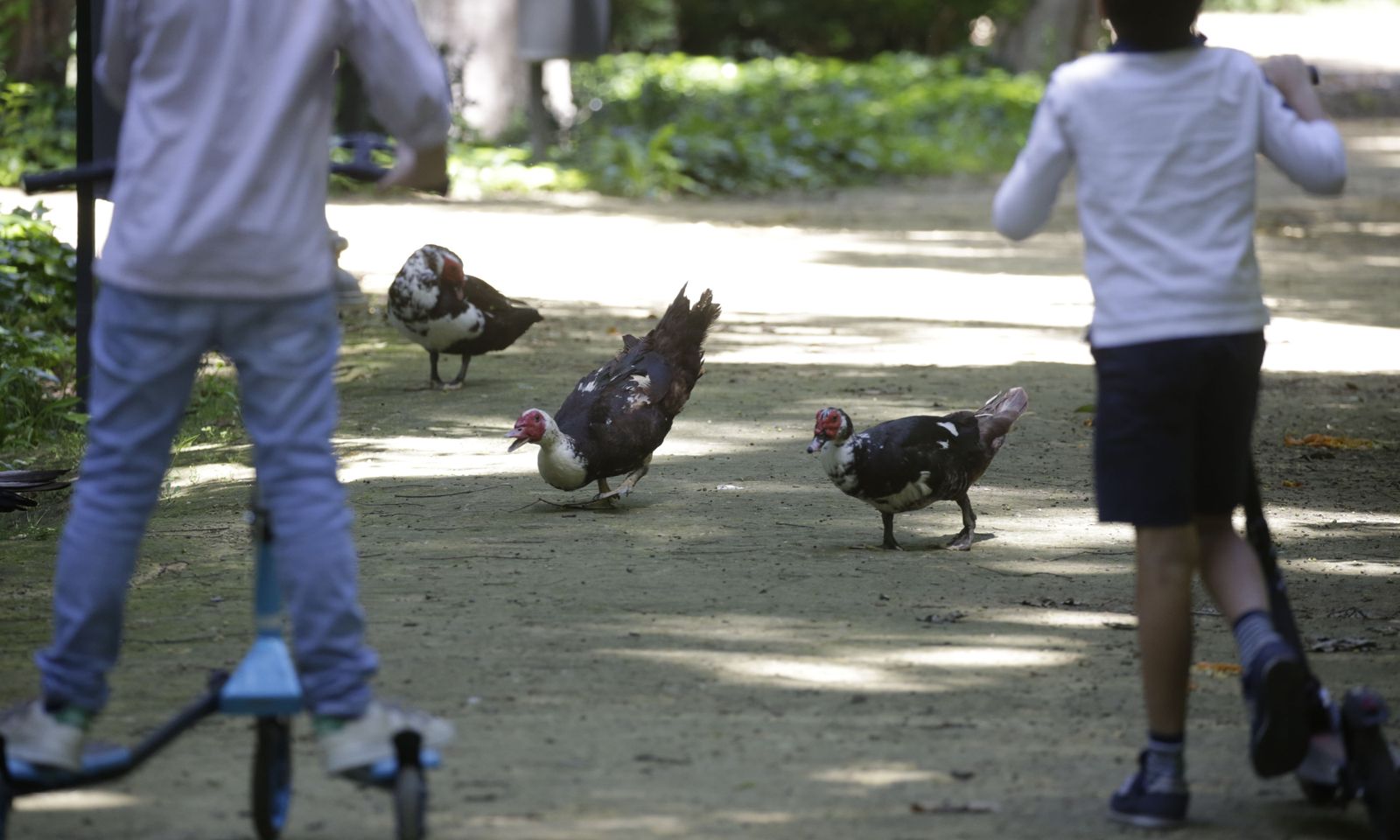 Una familia disfrutando del agradable día en Sevilla.