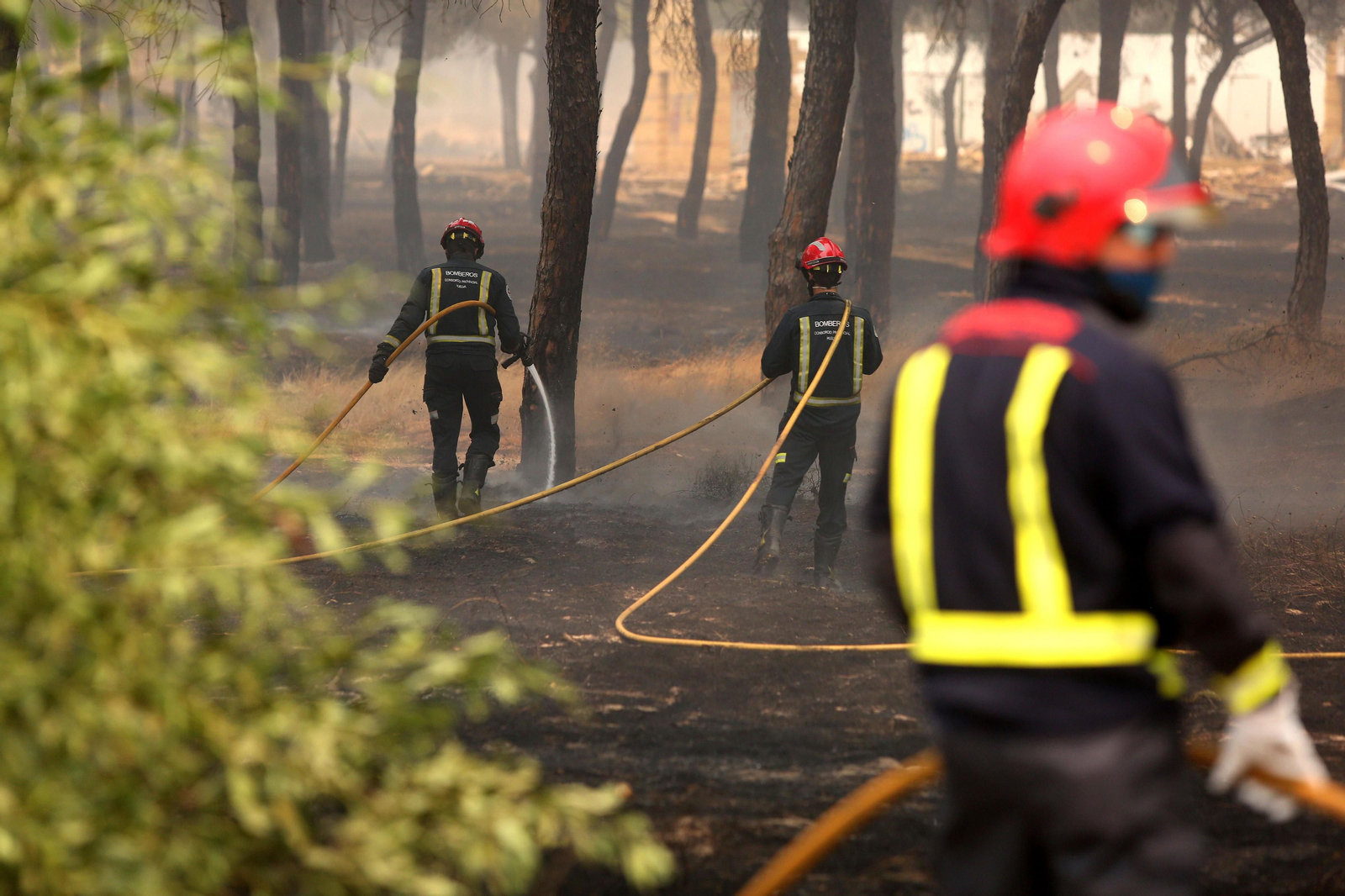 Las consecuencias del incendio en Mazagón