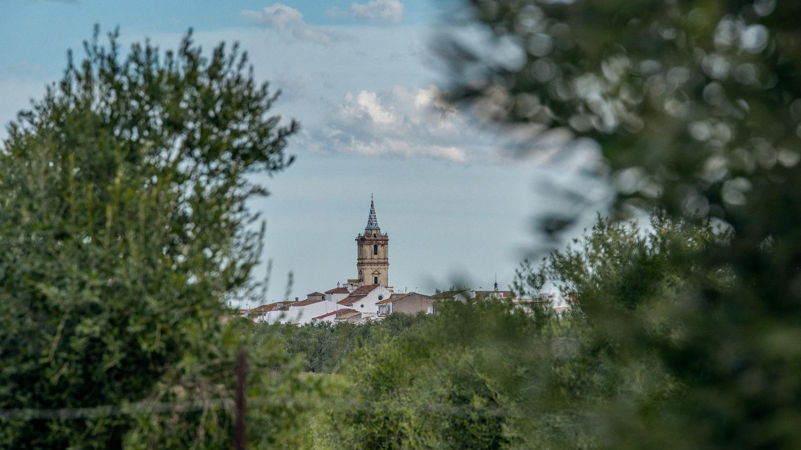 ‘Ruta del Aceite de Beas’