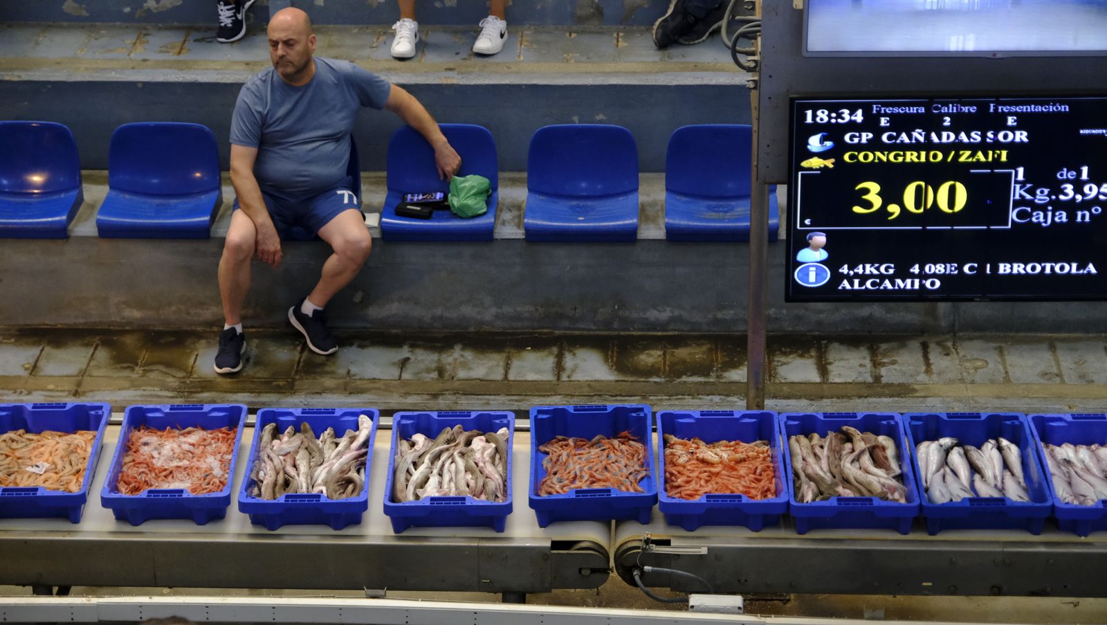 Imágenes de la visita guiada a la Lonja del Puerto Pesquero de Almería
