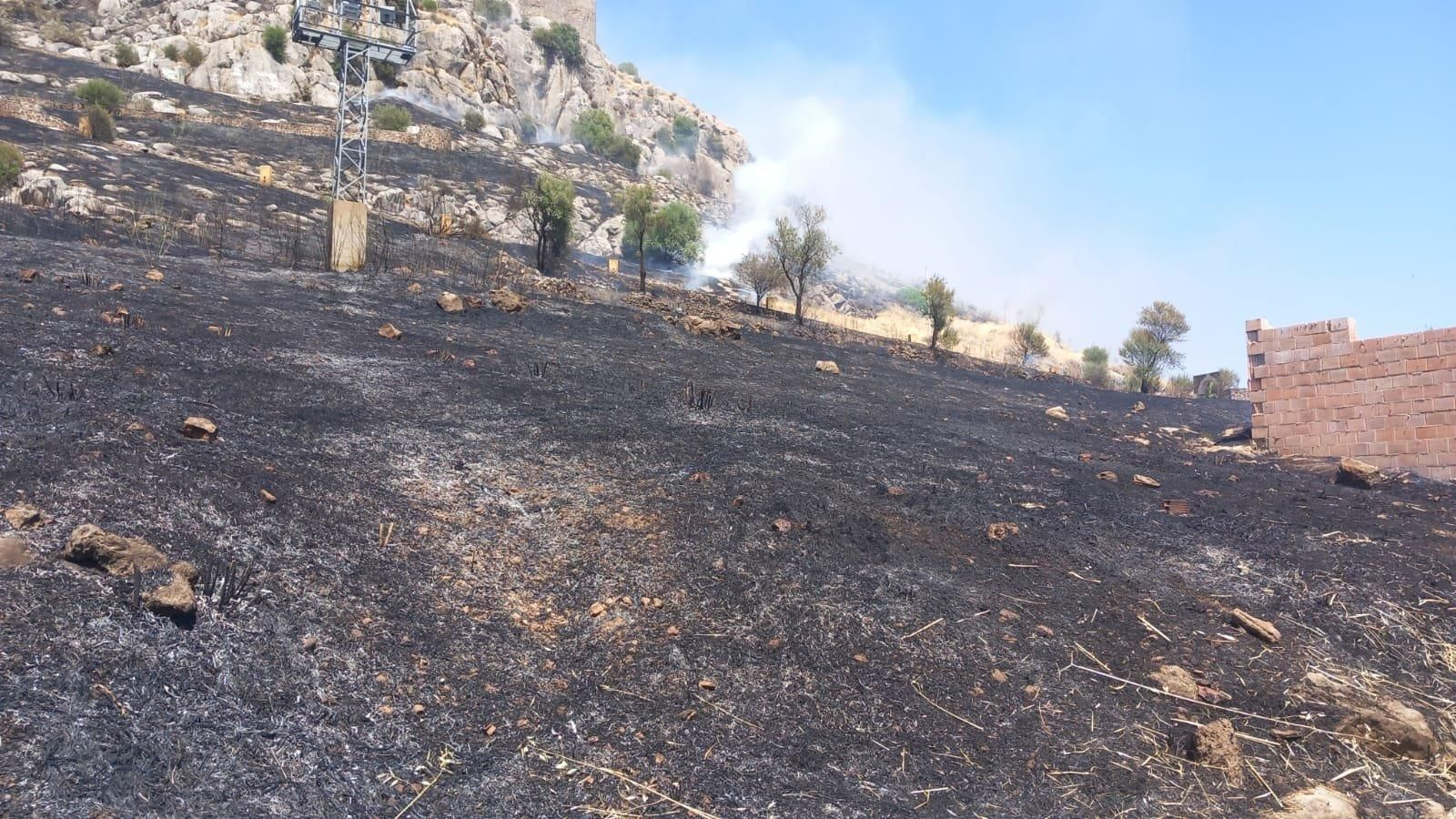 Imágenes del incendio forestal declarado en el paraje de Río Grande de Bera