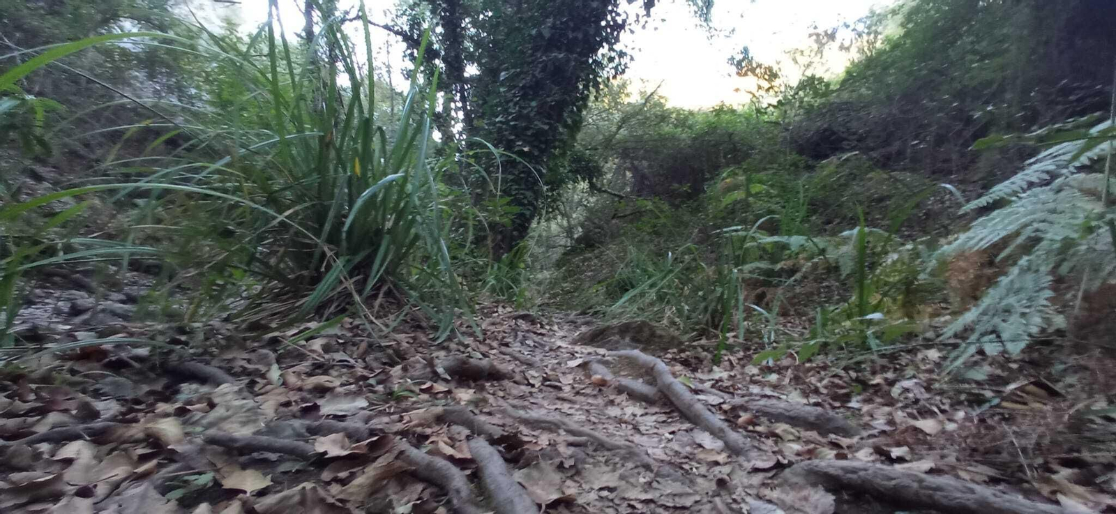 Las imágenes de la Ruta del charco malo