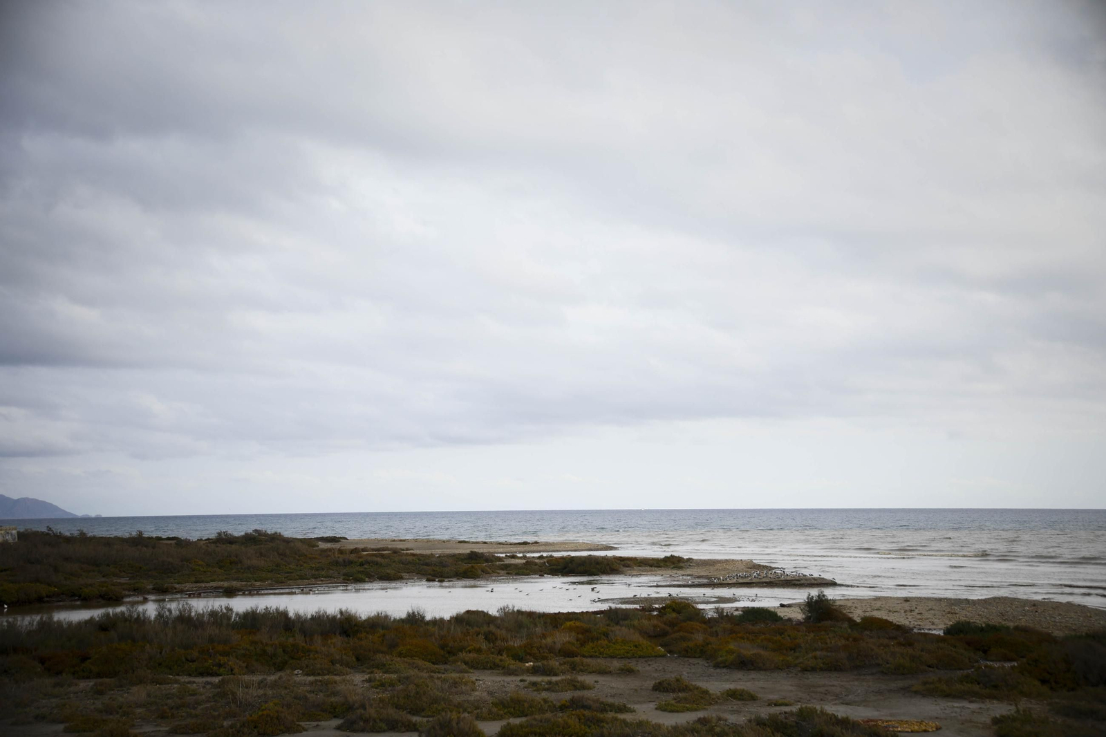 La desembocadura del río Andarax, en imágenes