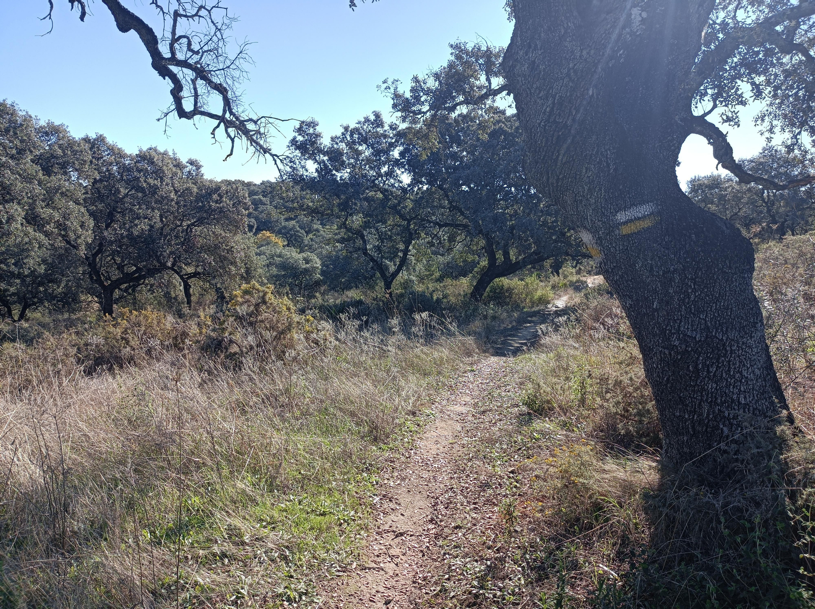 Ruta de Las Cañadillas