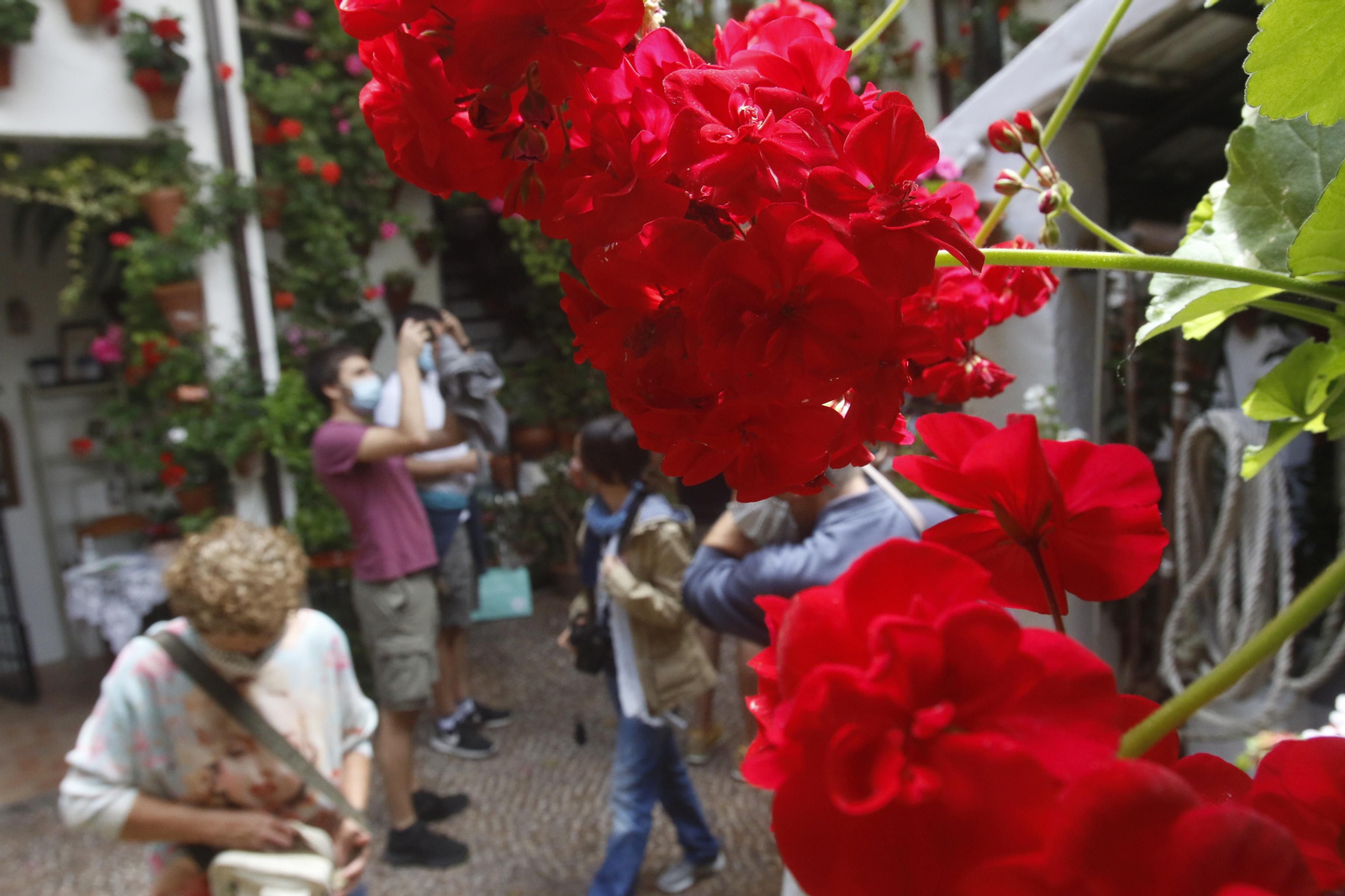 Ruta Alcázar Viejo de los Patios de Córdoba, en imágenes