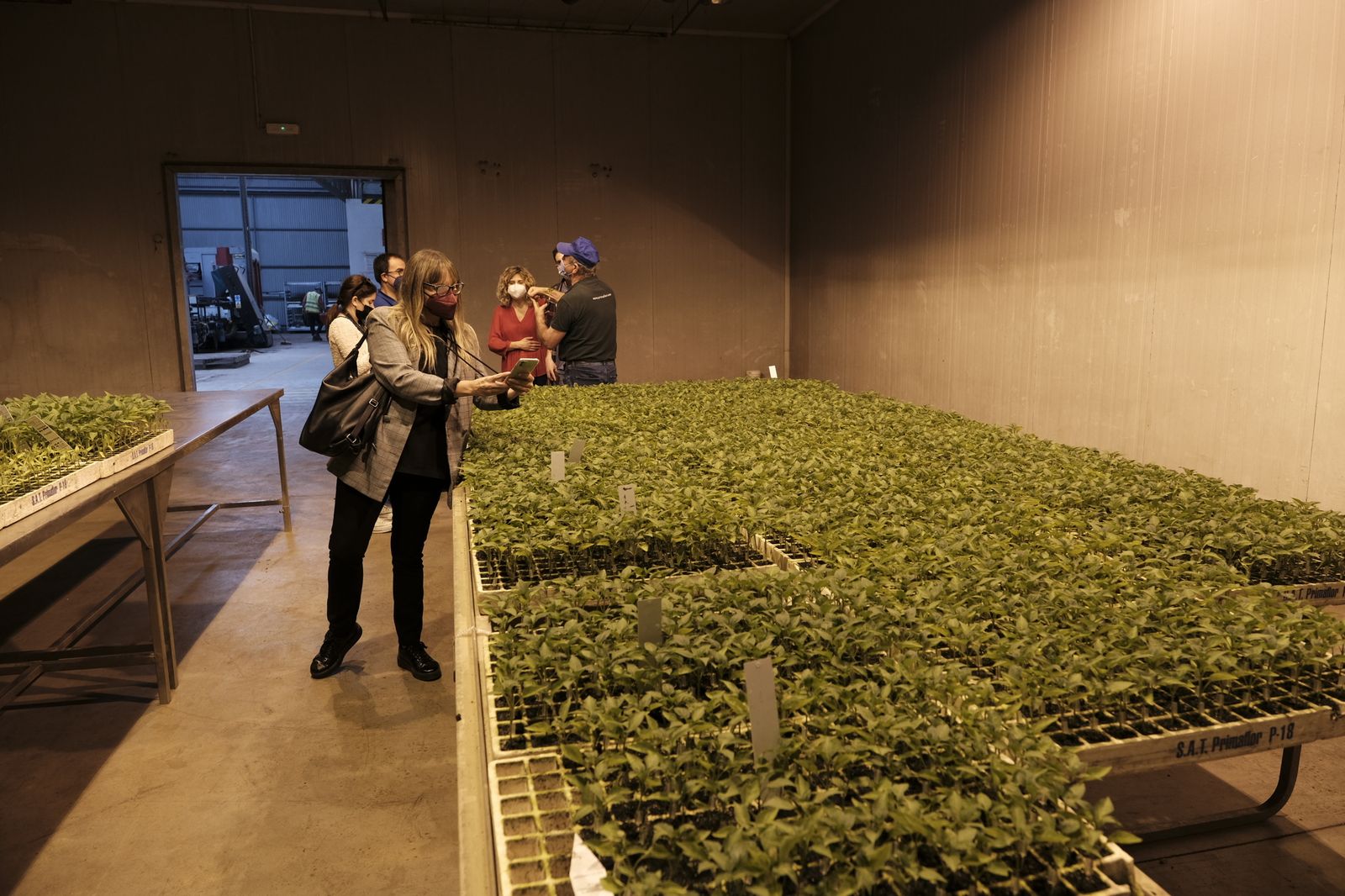 Primaflor es ya una empresa con un 100% de energía renovable