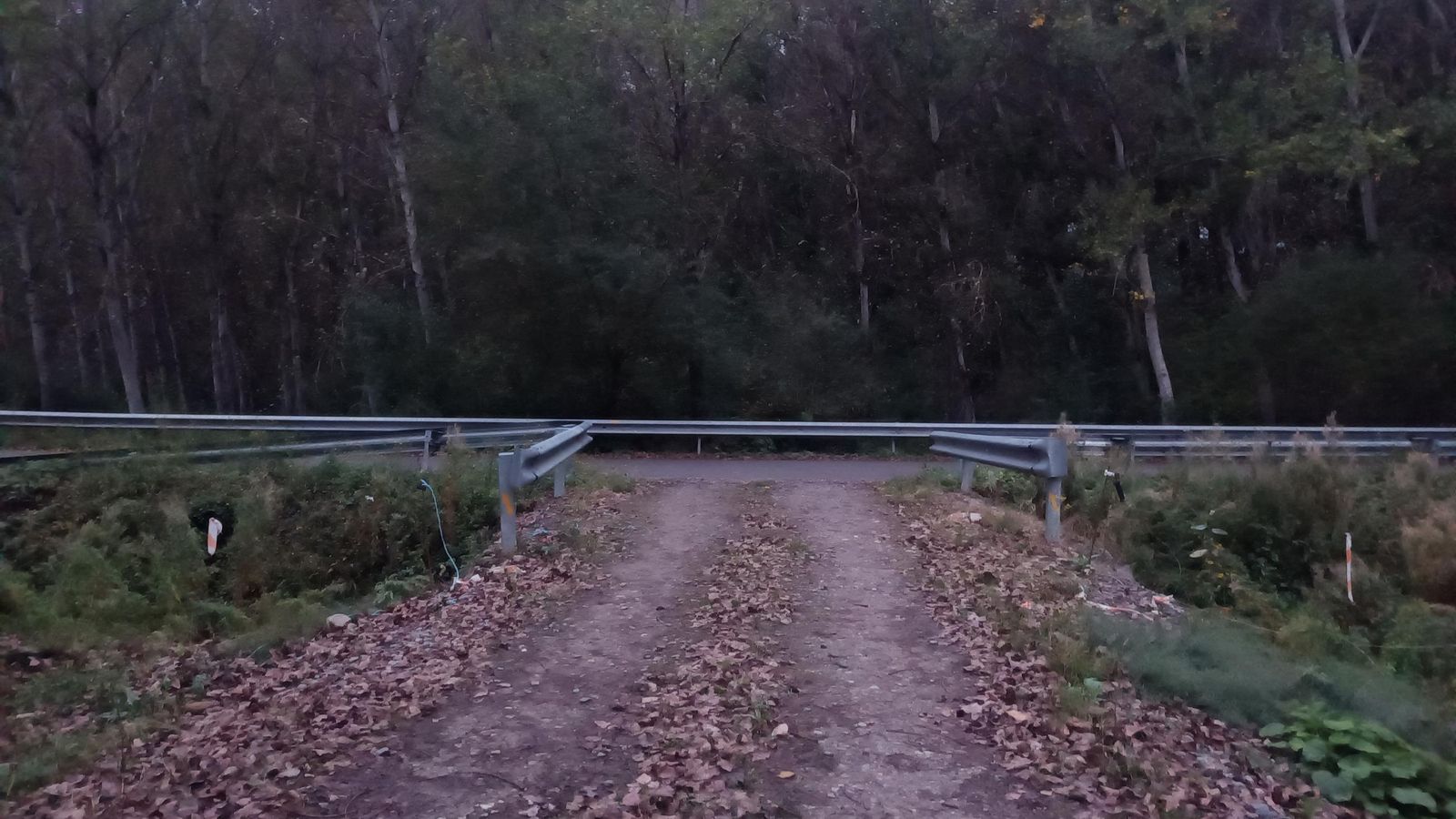 Al final de la pradera del principio, tendremos que cruzar la carretera.
