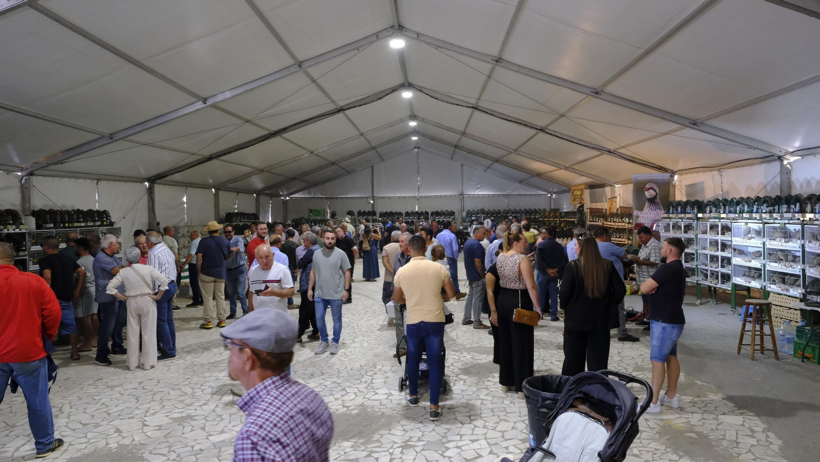 Las fotos de la Feria del Ganado y del Pájaro Perdiz en Albox