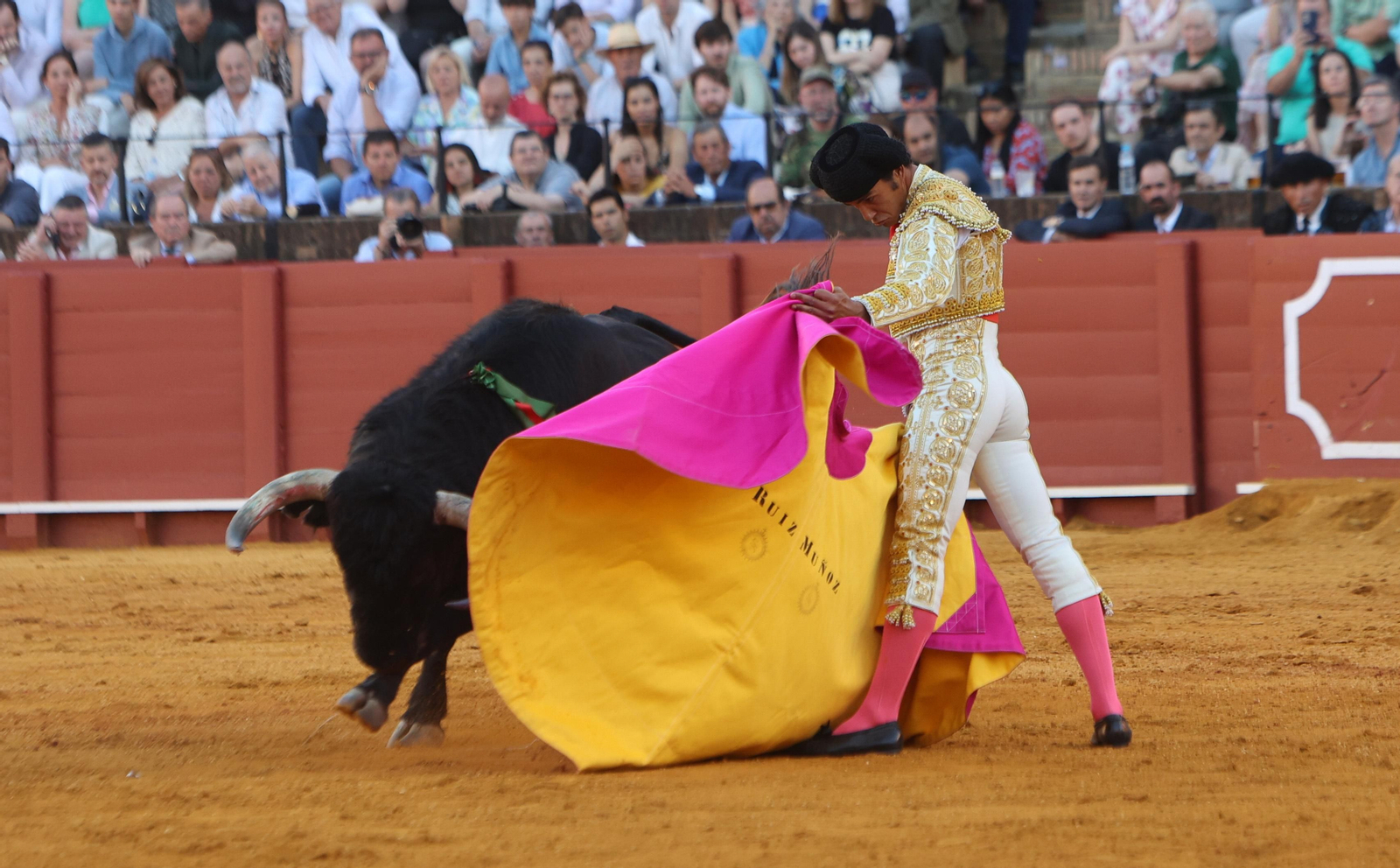 Las mejores imágenes de la corrida de hoy
