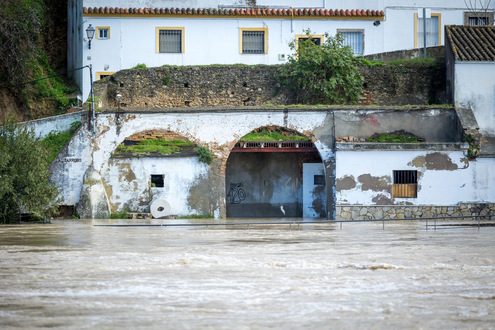 Las imágenes de las inundaciones en Arcos: la espectacular crecida del río Guadalete por la apertura de las presas
