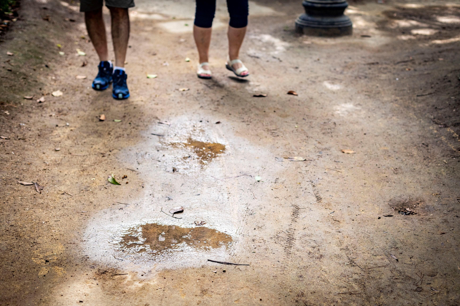 Imágenes del abandono del parque Genovés en Cádiz